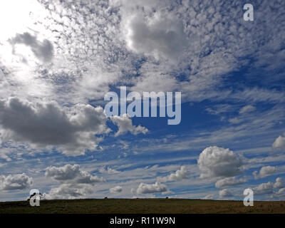dramatic late summer landscape with cumulus and cirrus clouds in blue skies above fields and farmland with distant cows in Cumbria, England, UK Stock Photo