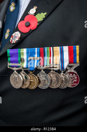 Detail of military medals worn by a war veteran during remembrance day in November. Stock Photo