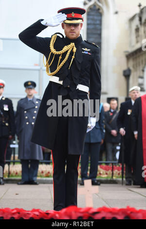 The Duke of Sussex visits the Field of Remembrance at Westminster Abbey, which has been organised by the Poppy Factory and held in the grounds of Westminster Abbey since November 1928. Stock Photo