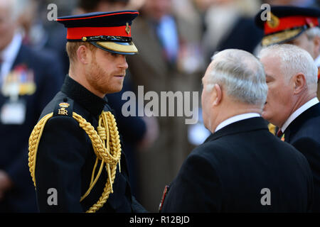 The Duke of Sussex visits the Field of Remembrance at Westminster Abbey, which has been organised by the Poppy Factory and held in the grounds of Westminster Abbey since November 1928. Stock Photo