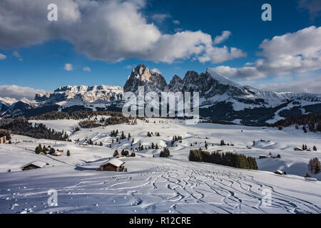 Seiser Alm, Alpe di Siusi, Dolomites Stock Photo