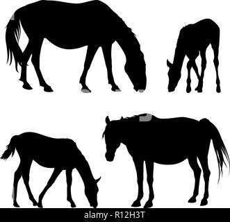 Vector silhouettes of horses and foals isolated on white Stock Vector