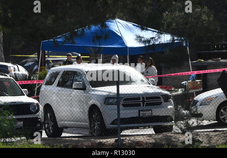 Crime scene investigators work at the scene of a shooting on 16th and ...