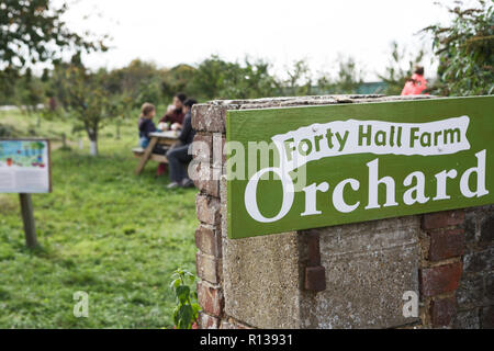 Forty Hall Farm, Orchard, north London UK. Stock Photo