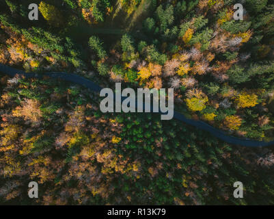 Colorful forest and curvy road, aerial drone view from above. Stock Photo