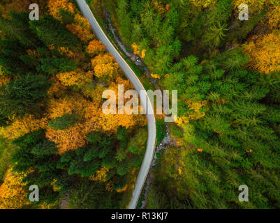 Top down drone view on winding road trough autumn forest. Stock Photo