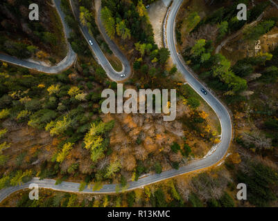 Curvy road trough atumn forest,aerial top down view. Stock Photo