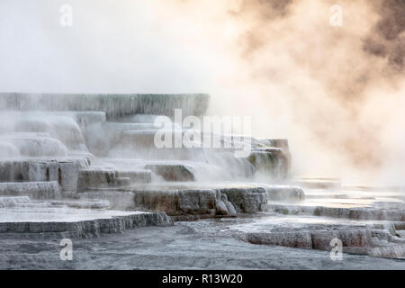 WY03558-00...WYOMING - Upper Terraces Mammoth Hot Springs in Yellowstone National Park. Stock Photo