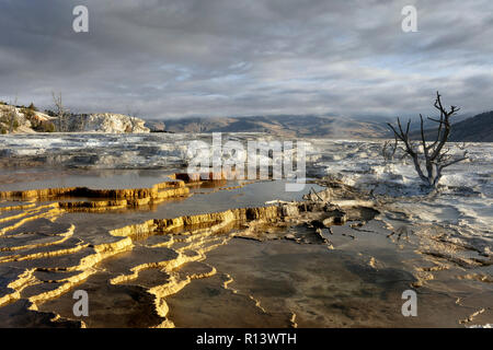 WY03567-00...WYOMING - Upper Terraces of Mammoth Hot Springs in Yellowstone National Park. Stock Photo