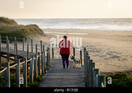 Middle-aged woman walks her dog on boardwalk near the beach. Sand, Ocean. Red Jacket. Back View. Clear Day. Stock Photo
