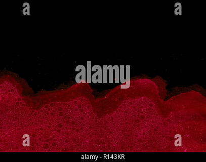 Abstract grunge cellular background against black Stock Photo