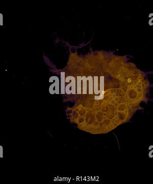 Abstract grunge cellular background against black Stock Photo