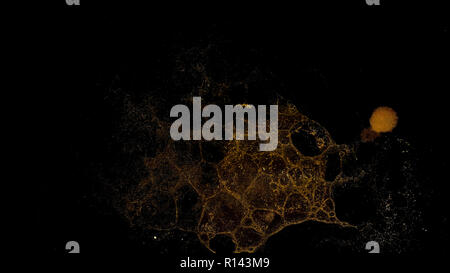 Abstract grunge cellular background against black Stock Photo