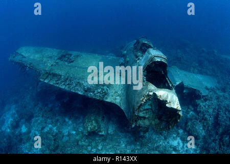 A american Zerofighter of  WW II at seabed, Palau, Micronesia Stock Photo