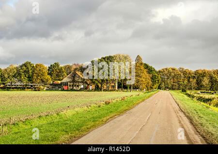 Noordoostpolder, The Netherlands, October 24, 2018: straight asphalt road between green fields leading to a farm surrounded by trees Stock Photo
