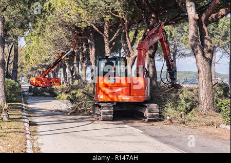 Bibione,Italy - March 08 2018 : Workers and machinery at tree pruning before the start of the tourist season. Stock Photo