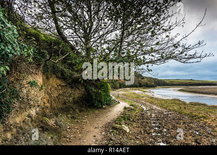 The Penpol footpath bridle path bridleway on the bank of the Gannel River in Newquay in Cornwall. Stock Photo