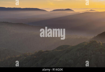 A cool pacific mist spills over the mountains and valleys of Castle Rock State Park at sunset near San Jose, California Stock Photo