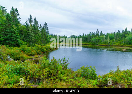 View of the Awalt Lake, in Nova Scotia, Canada Stock Photo