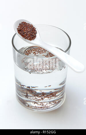 Glas Wasser und Loeffel mit Flohsamen, Sandwegerich, Plantago psyllium Stock Photo