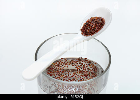 Glas Wasser und Loeffel mit Flohsamen, Sandwegerich, Plantago psyllium Stock Photo