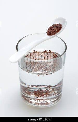 Glas Wasser und Loeffel mit Flohsamen, Sandwegerich, Plantago psyllium Stock Photo