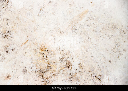 White beige marble stone wall house facade with natural imperfections and holes as simple surface texture background. Stock Photo