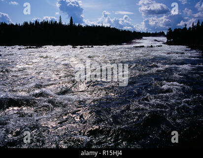Sweden, Norrbotten, Pitealven River, View up Storforsen Rapids twenty-five miles north west of Alusbyn town. Expanse of fast flowing sparkling water and silhouetted tree line. A fall of 80 metres at a rate of 800 000 litres per second over 4 kilometres. Stock Photo