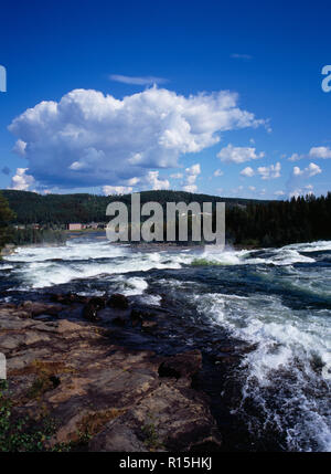 Sweden, Norrbotten, Pitealven River, View down Storforsen Rapids 25 miles north west of Alusbyn town. Expanse of fast flowing churning water with buildings beyond and backdrop of dense forest.  A fall of 80 metres at a rate of 800 000 litres per second over 4 kilometres. Stock Photo