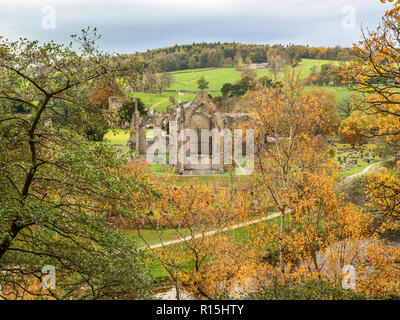 The ruins of Bolton Priory from a viewpoint across the River Wharfe in autumn at Bolton Abbey Yorkshire Dales England Stock Photo