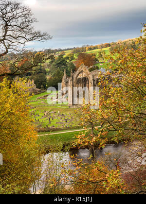 The ruins of Bolton Priory from a viewpoint across the River Wharfe in autumn at Bolton Abbey Yorkshire Dales England Stock Photo