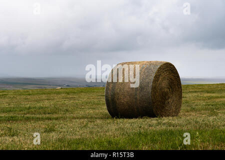 Hay bales in a field against a stormy sky in southern Alberta, Canada