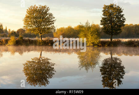 Misty morning reflections at Colwick Country Park in Nottingham, Nottinghamshire England UK Stock Photo