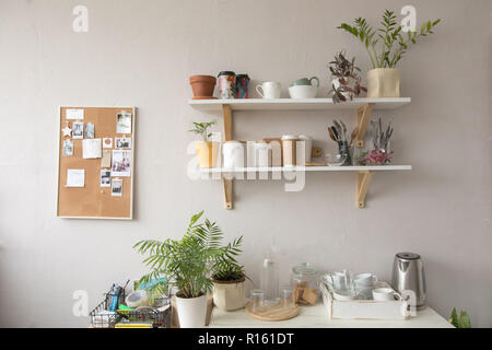 Plants and kitchenware in kitchen Stock Photo