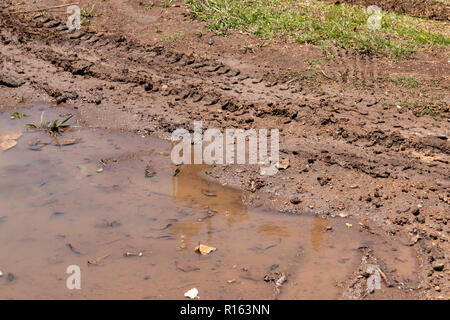 A close up view of a muddy puddle where a car's tyre tracks  have been left next to the dirty water Stock Photo