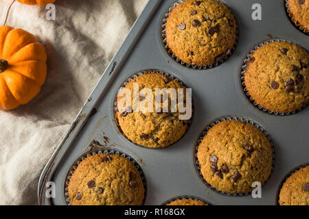 Sweet Homemade Chocolate Pumpkin Muffins Ready to Eat Stock Photo