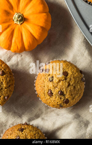 Sweet Homemade Chocolate Pumpkin Muffins Ready to Eat Stock Photo