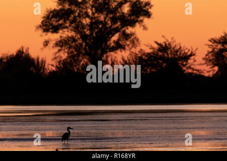 Sunset on the Neretva River delta, Croatia Stock Photo