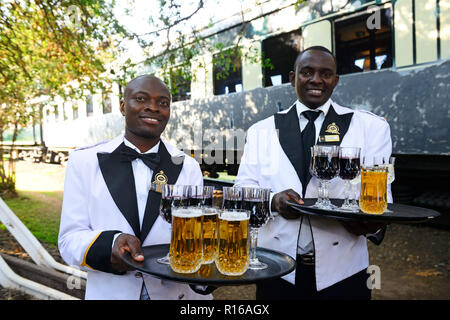Service staff with welcome drinks in front of the luxury train, Royal Livingstone Express, Livingstone, Zambia
