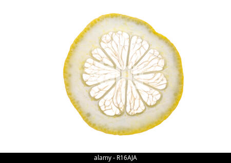Slice of fresh lemon against white background Stock Photo