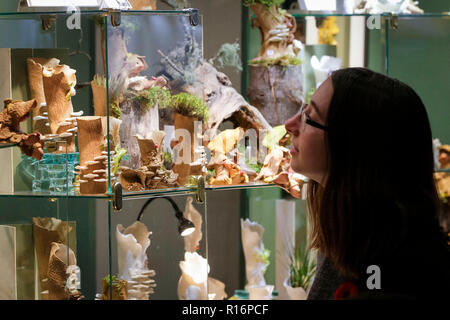 Vancouver, Canada. 9th Nov, 2018. A visitor views handicrafts at the Circle Craft Market, Canada's one of the biggest craftspeople's annual events, in Vancouver, Canada, on Nov. 9, 2018. Credit: Liang Sen/Xinhua/Alamy Live News Stock Photo