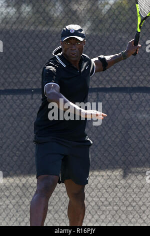 FORT LAUDERDALE, FL - NOVEMBER 09: Seal playing tennis on November 29, 2018, in Fort Lauderdale, Florida   People:  Seal Stock Photo