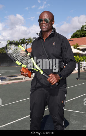 FORT LAUDERDALE, FL - NOVEMBER 09: Seal playing tennis on November 29, 2018, in Fort Lauderdale, Florida   People:  Seal Stock Photo