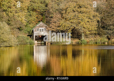 Winkworth Arboretum, Godalming. 10th November 2018. Beautiful autumnal ...