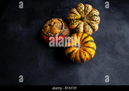 Squash or Pumpkins Stock Photo