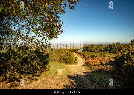 The view from Gills Lap in Ashdown Forest, East Sussex, UK Stock Photo