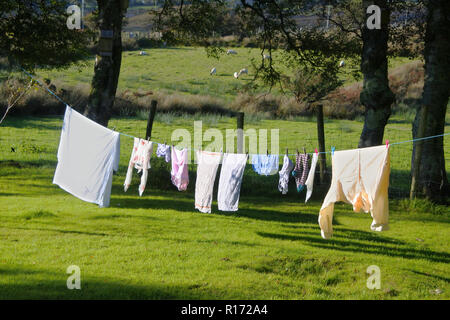 Washing drying outside in an Irish garden on a single clothesline - John Gollop Stock Photo