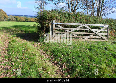 Wooden farm gate left open - John Gollop Stock Photo