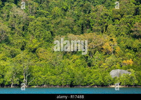 Tropical dense jungle coastline on a limestone hill, Pang Nga bay, Thailand Stock Photo