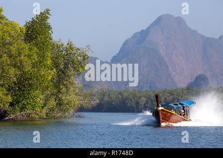 Speedboat in the Pang Nga bay with mangrove tree area and mountain, Thailand Stock Photo